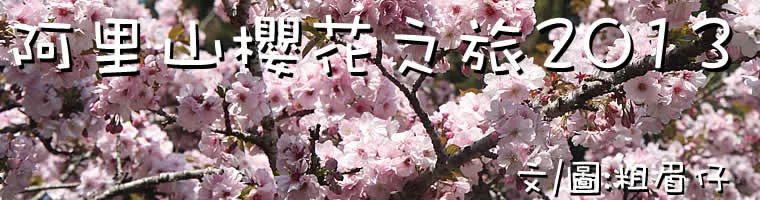 阿里山櫻花之旅2013